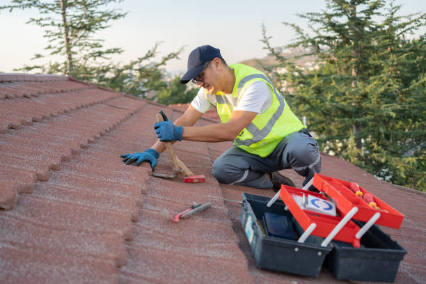Best Roof Gutter Cleaning  in Saddle River, NJ